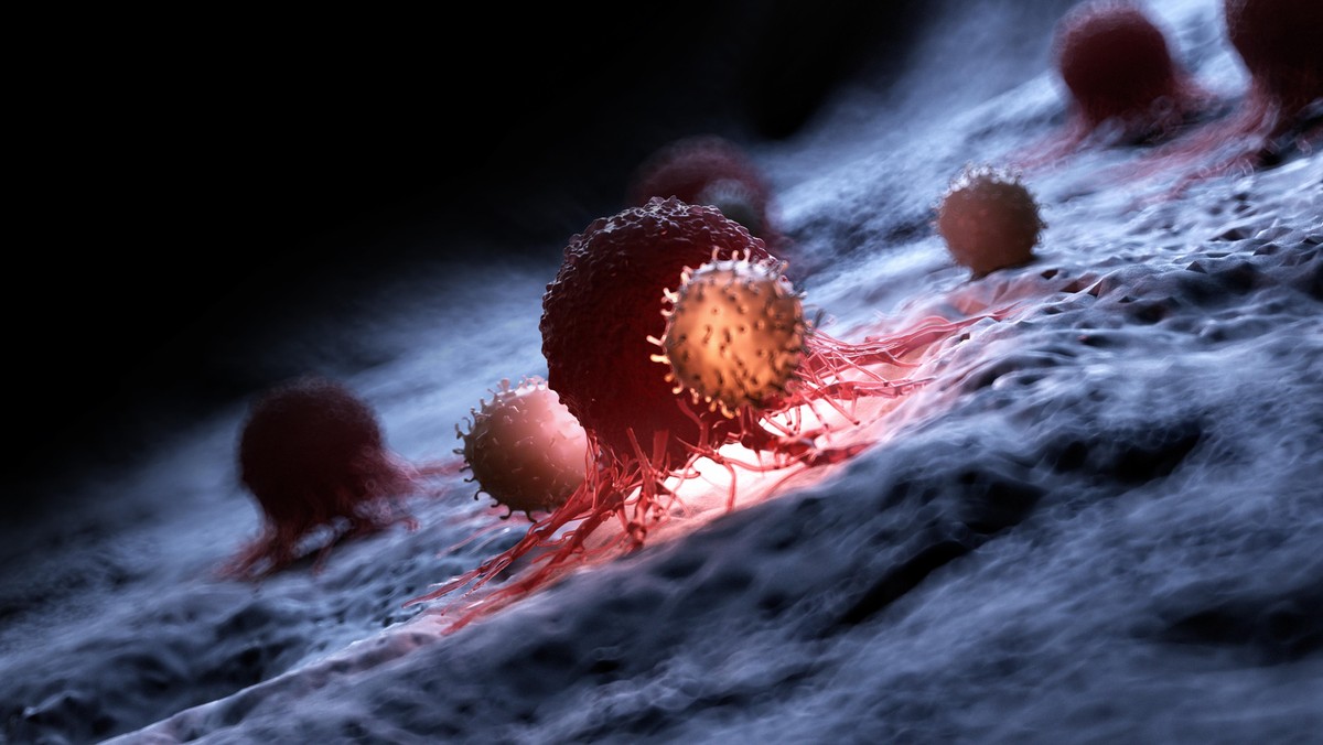 Illustration of white blood cells attacking a cancer cell