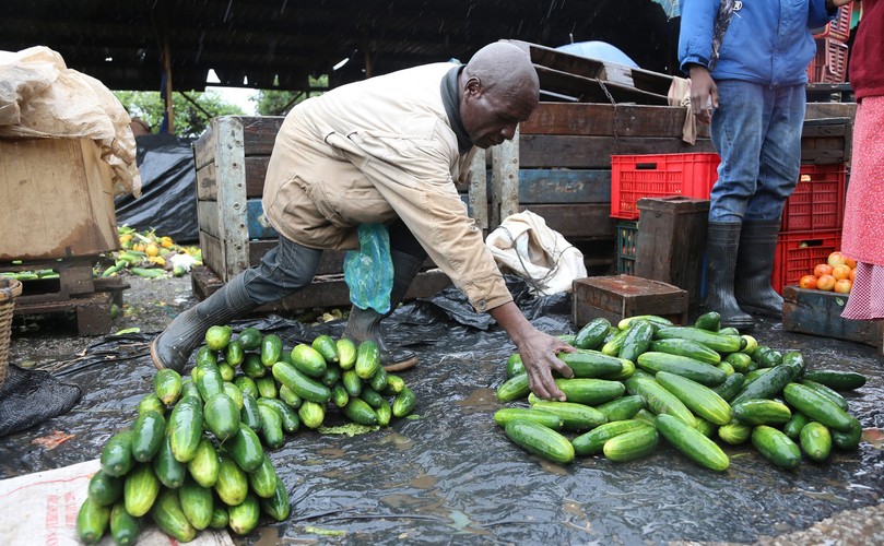 DUR BRZUSZNY CORAZ TRUDNIEJSZY DO OPANOWANIA W ZIMBABWE