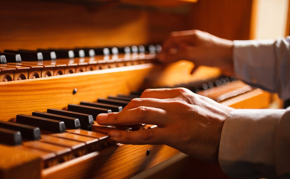 Organista