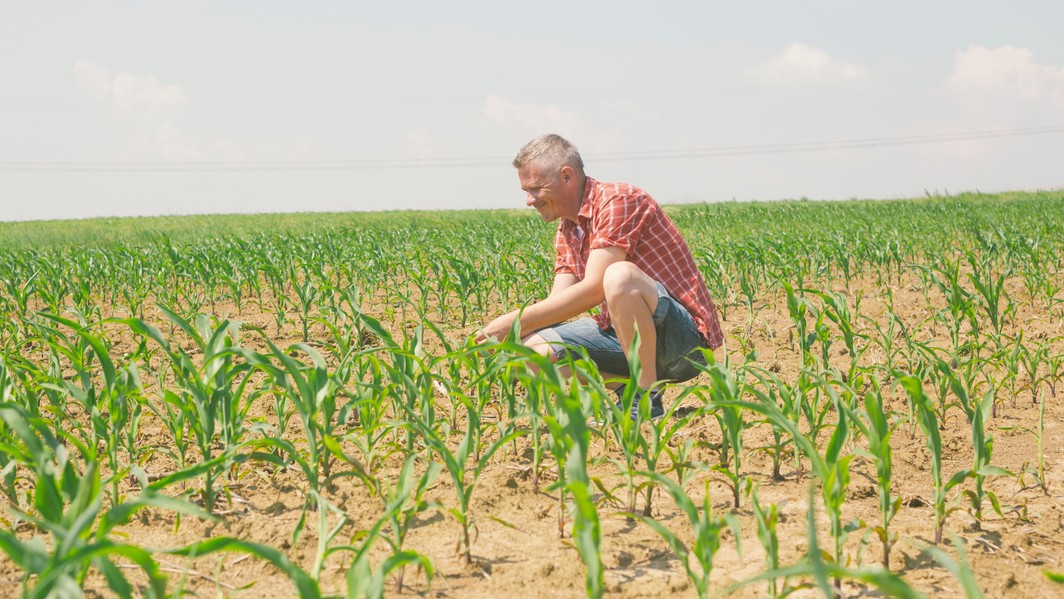 Farmári melú z posledného. (ilustračné foto)