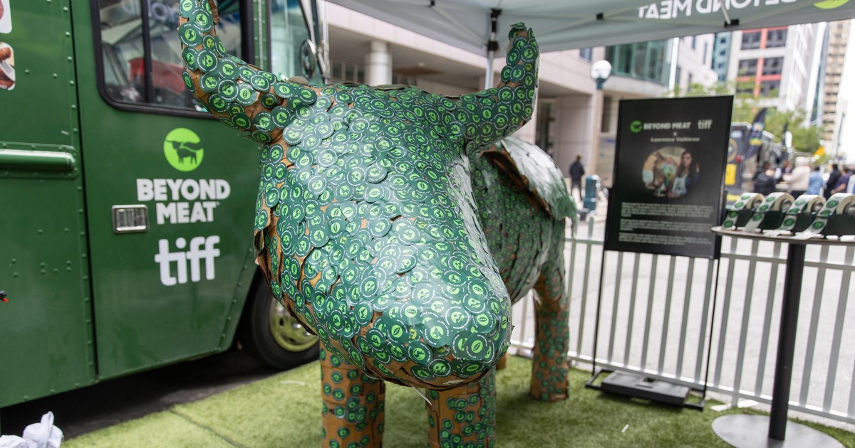 The retail trader leading the Beyond Meat meme-stock rally told us why ...