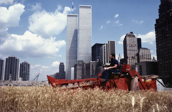 "Wiek półcienia. Sztuka w czasach planetarnej zmiany" w Muzeum Sztuki Nowoczesnej w Warszawie. Na zdjęciu: Agnes Denes, "Wheatfield - A Confrontation: Battery Park Landfill, Downtown Manhattan - The Harvest" (1982)