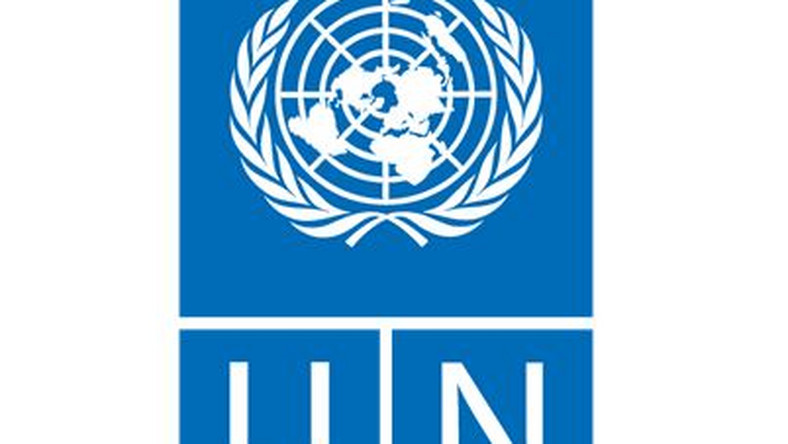 The United Nations Development Programme (UNDP) Launches Regional ...