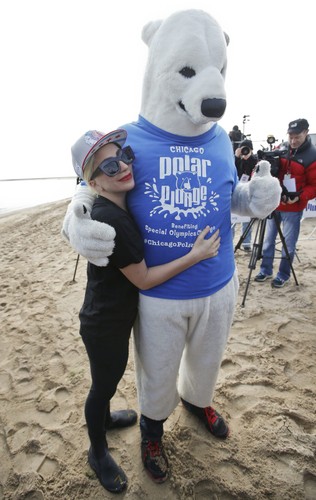 Lady Gaga i polarny misiek