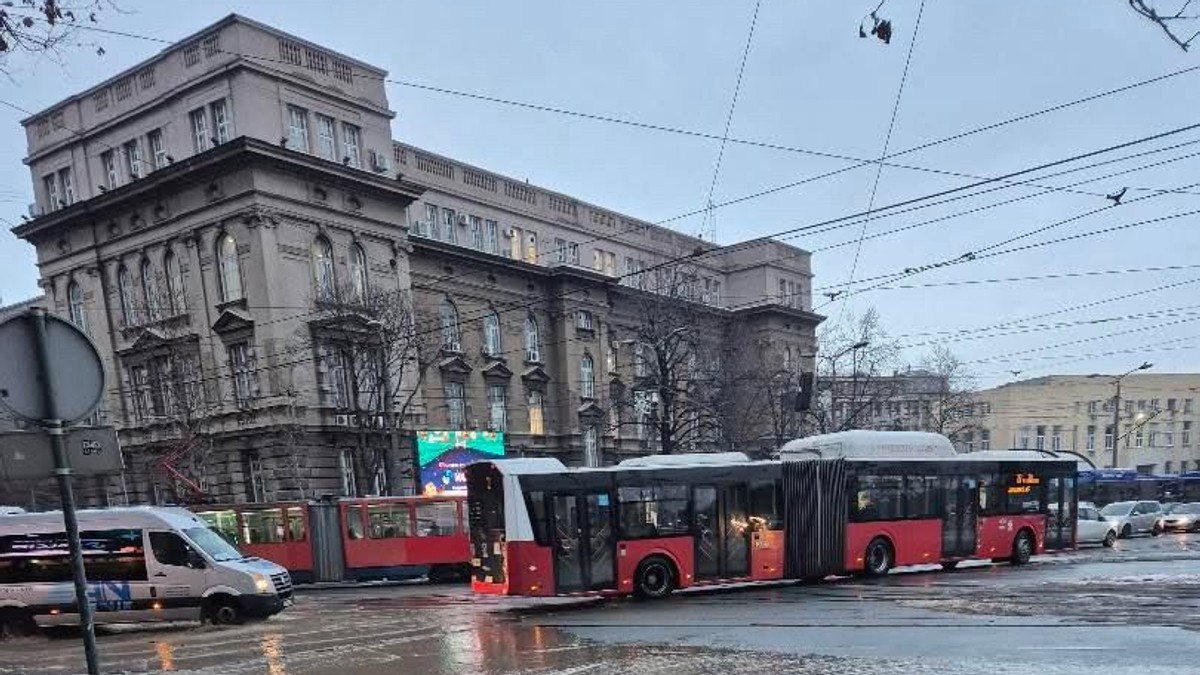 Izlila se kanalizacija, Bulevar kralja Aleksandra