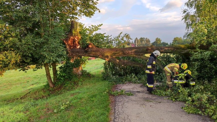 Wiatr łamał drzewa w powiecie bocheńskim