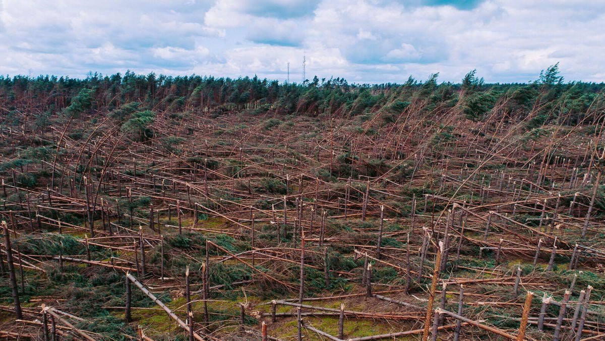 450 tys. zł przekaże gminom poszkodowanym w nawałnicach samorząd Dolnego Śląska. Sejmik województwa podjął uchwałę w tej sprawie.