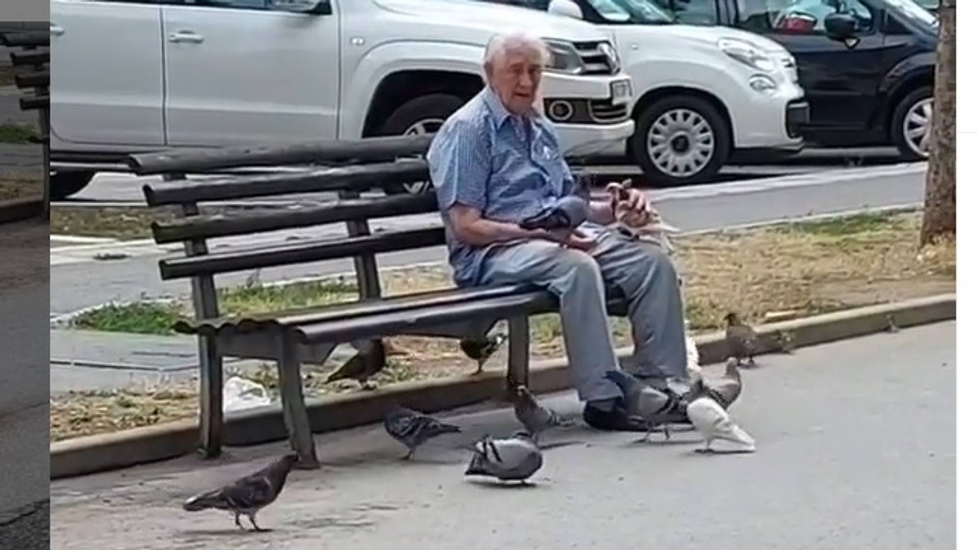 Ovaj dekica je postao omiljena osoba u Novom Sadu iz najboljeg mogućeg razloga