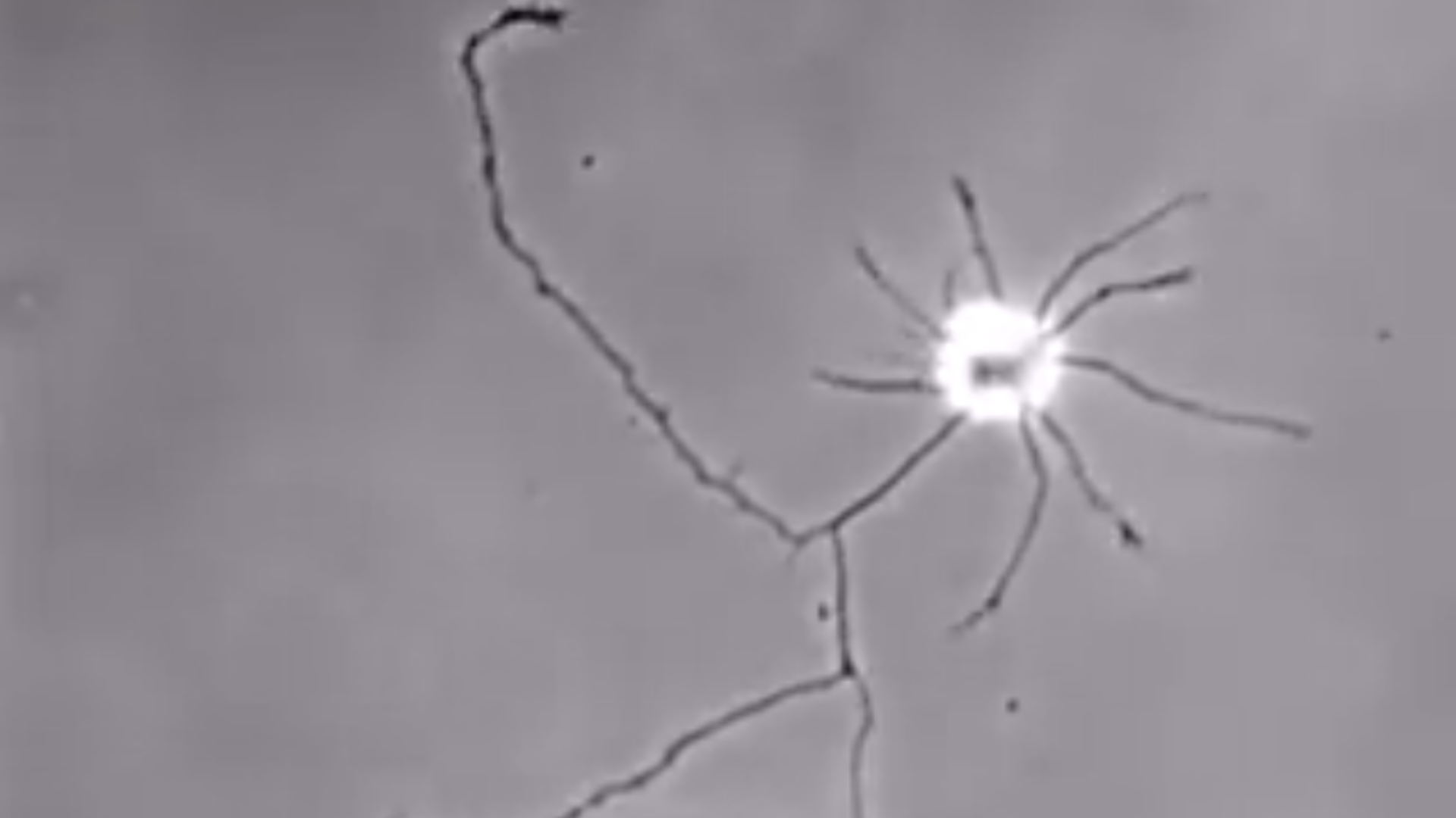 Izolovaný neurón sa snaží nadviazať spojenie.