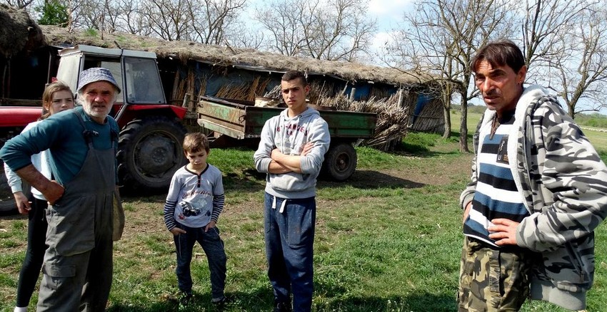 Pretukli čobana, vezali ga i ukrali stado ovaca u Subotici