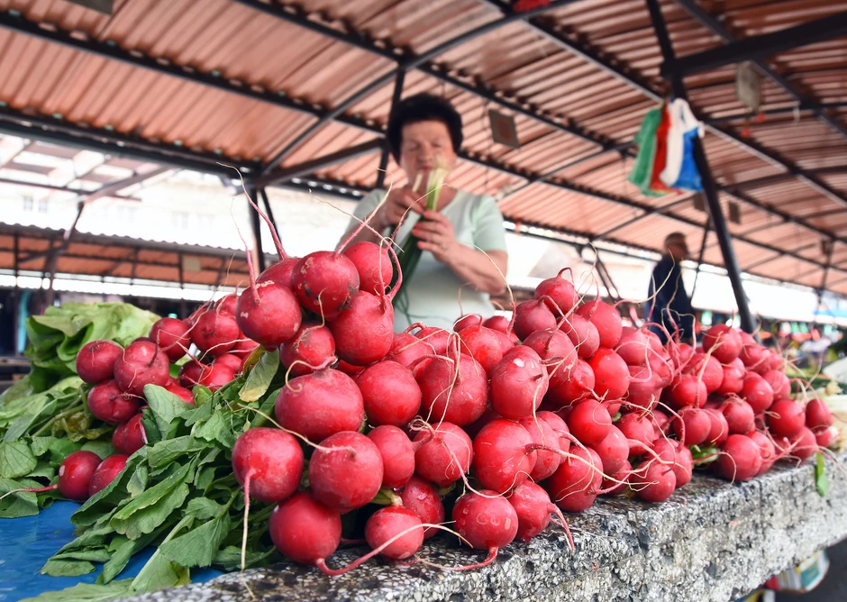 Sveže ubrane rotkvice ne mogu dugo da se čuvaju