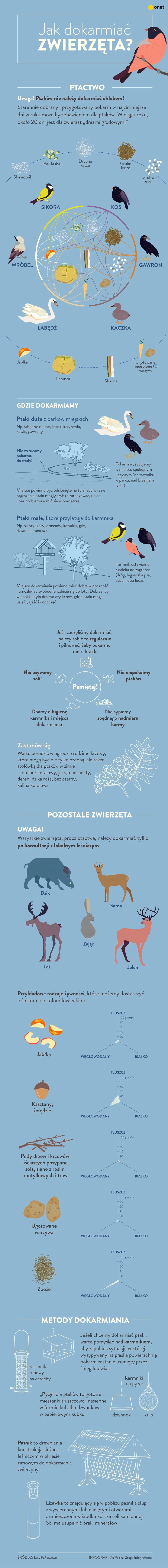 Karmienie ptaków