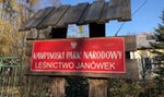 Bilety do Puszczy Kampinoskiej? Rząd szykuje ustawę o płatnym wstępie do wszystkich parków narodowych