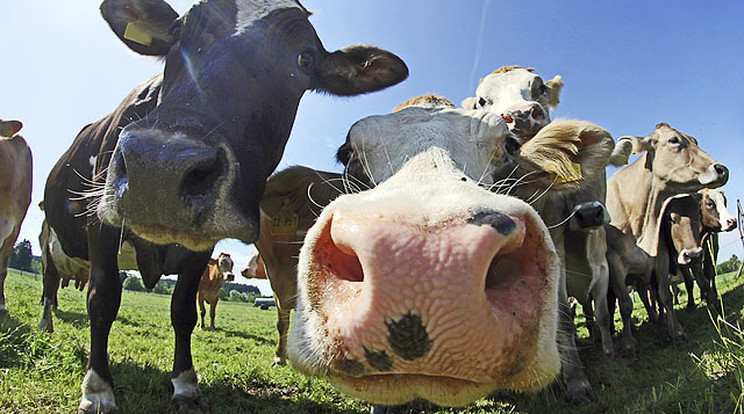 Indul a Nagy Diák Agrárteszt! 