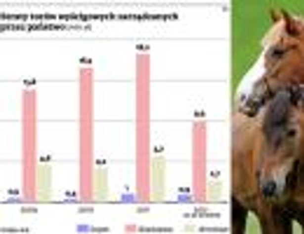 Straty torów wyścigowych zarządzanych przez państwo (mln zł)