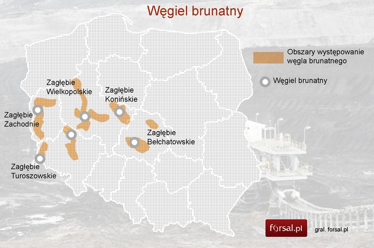 Węgiel brunatny. Udokumentowane zasoby węgla brunatnego w Polsce w 2012 roku wyniosły 22,58 mld ton, z czego zaledwie 1,59 mld ton to zasoby złóż zagospodarowanych. Wydobycie tego surowca w 2012 roku osiągnęło poziom 64,3 mln ton. Większość wydobycia węgla brunatnego pochodzi z największego z zagospodarowanych złóż: Bełchatów-pole Bełchatów - 29,19 mln ton (45 proc. wydobycia krajowego) oraz złoża Bełchatów – pole Szczerców - 10,97 mln ton (17 proc. wydobycia krajowego). Do większych zagospodarowanych złóż należą również Turów - 10,34 mln ton (16 proc. wydobycia krajowego), Pątnów IV - 6,22 mln ton (10 proc. wydobycia krajowego ), Drzewce - 3,18 mln ton (5 proc. wydobycia krajowego), Adamów - 2,84 mln ton (4  proc. wydobycia krajowego).