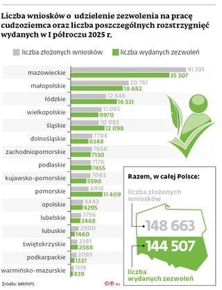 Liczba wniosków o udzielenie zezwolenia na pracę cudzoziemca oraz liczba poszczególnych rozstrzygnięć wydanych w I półroczu 2025 r.
