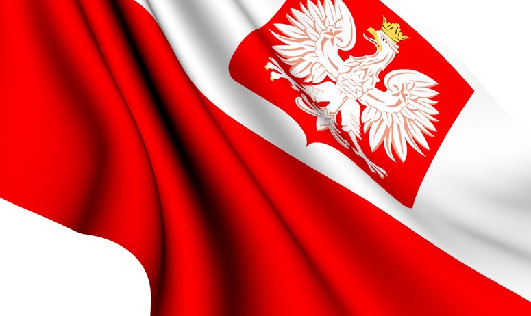 Polska Flaga W Polskim Domu Akcja Narodowcow Na Wilenszczyznie Dziennik Pl