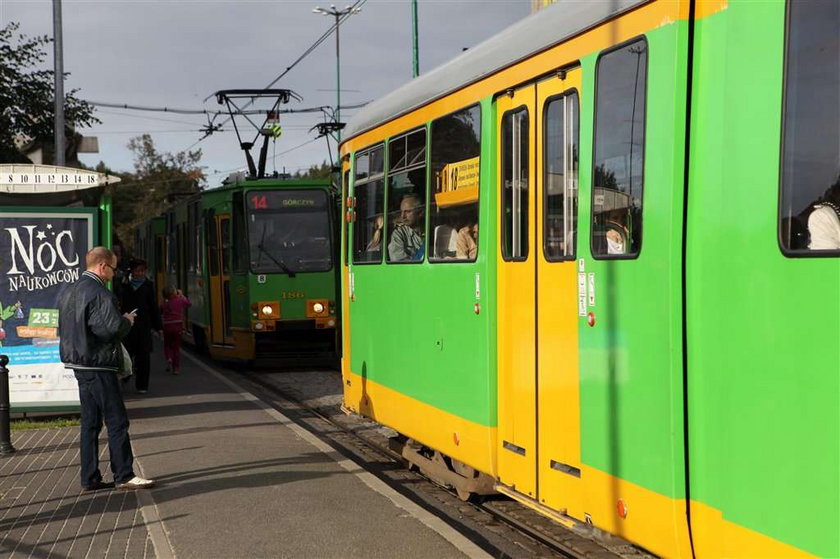 poznań, bilety, komunikacja, bilety na dłużej