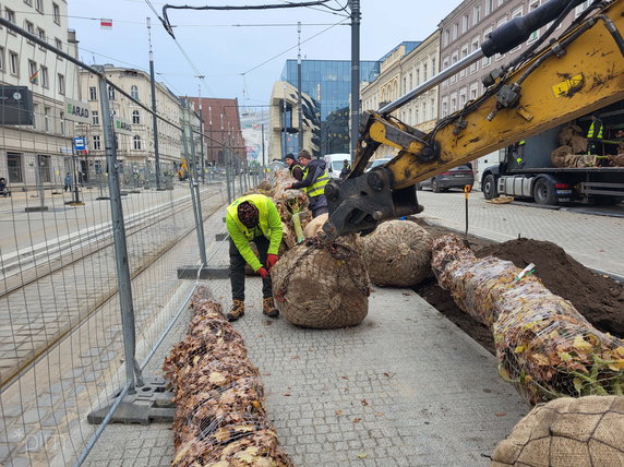 Na Al. Marcinkowskiego dotarł pierwszy transport nowych drzwi fot. PIM