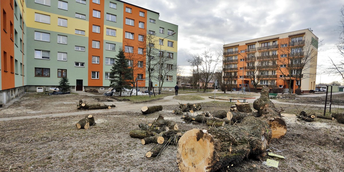 Zastali Polskę w ruinach, a zostawią w trocinach