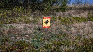 Powstaje nowa szczepionka mRNA, m.in. przeciwko boreliozie