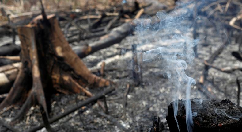 amazon rainforest fire farmers