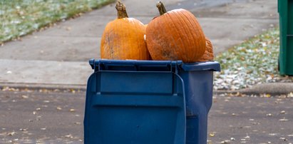 Nie wyrzucaj dyni do śmietnika! Co zrobić z nią po Halloween?