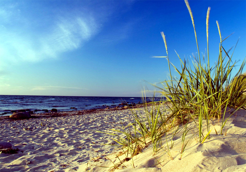 Najlepsze plaże Polski 2012