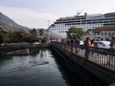Kotor