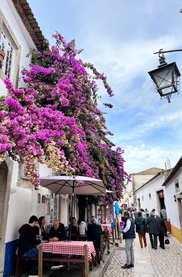 Uliczka w Obidos