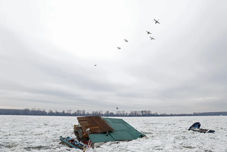 Led na Zemunskom keju
