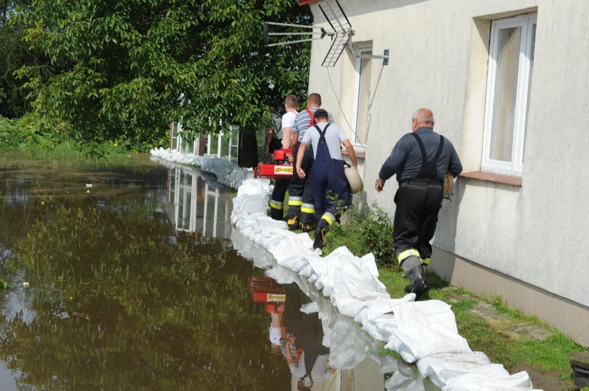 Szokująca relacja. Rząd nas zostawił na pastwę losu