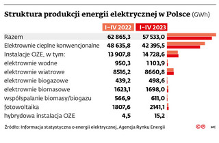 Struktura produkcji energii elektrycznej w Polsce (GWh)