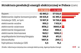 Struktura produkcji energii elektrycznej w Polsce (GWh)