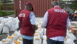 NDLEA officials (Credit: Premium Times Nigeria)