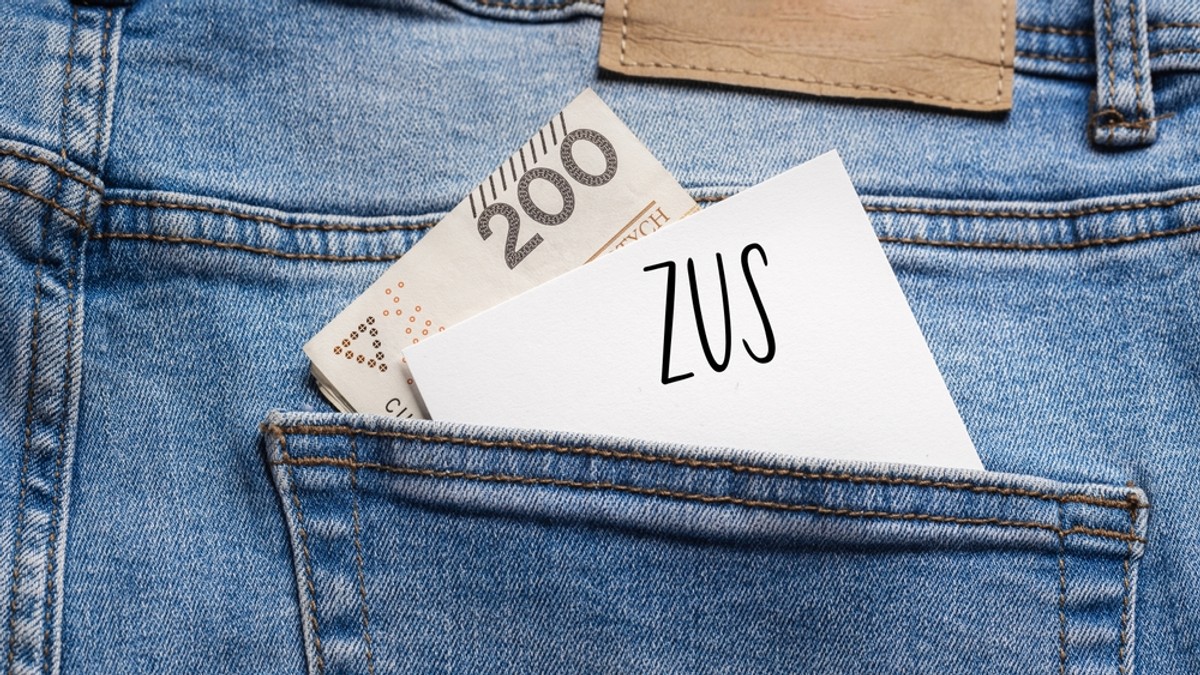 Według "Rzeczpospolitej", pomysł dobrowolnego ZUS-u nie zyskał aprobaty żadnego z 25 ekonomistów biorących udział w ankiecie. Podkreślono, że samodzielne oszczędzanie może nie zagwarantować wystarczających środków na emeryturę.