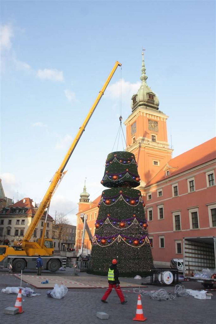 Choinki w Polsce i na świecie