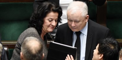 Najnowszy sondaż przed wyborami samorządowymi. PiS może zrobić wielkie oczy