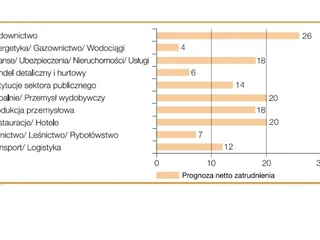 prognoza w sektorach manpower