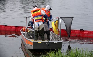 Niemcy odpowiadają stronie polskiej: Nikt nie twierdził, że pestycydy to jedyna przyczyna wymierania ryb w Odrze