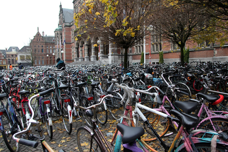 Groningen, rowerowy parking przed uniwersytetem