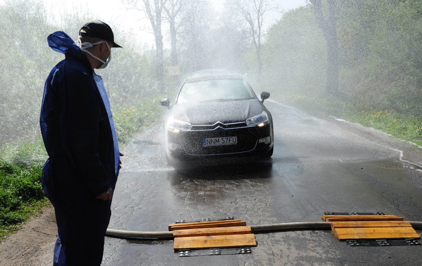 Przestrzeganie zasad podstawą ochrony przed ASF