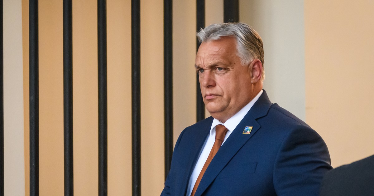 Brudna gra Ficy i Orbana. Do wojenki z Ukrainą pchnęła ich desperacja