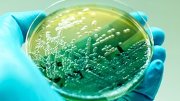 szpital w radomiu wstrzymał planowe przyjęcia wykryto niebezpieczną bakterię