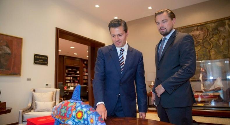 Mexico promised to protect the marine ecosystems of the Gulf of California and in particular the vaquita marina porpoise, in a plan backed by DiCaprio's foundation