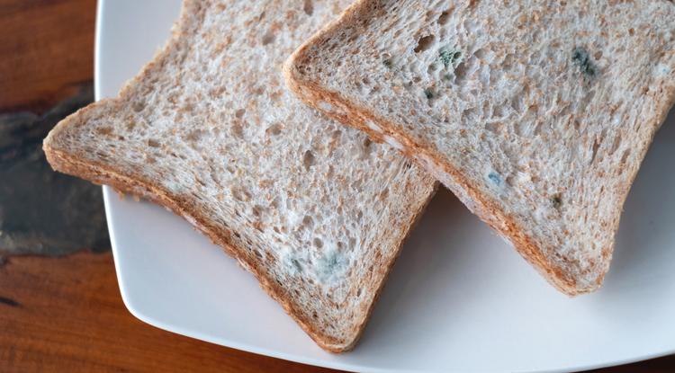 Mekkora gond megenni a penészes kenyeret? Fotó: Getty Images