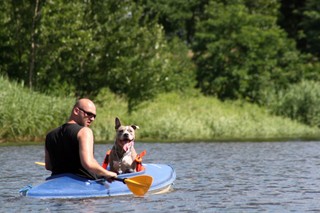 Odra zatruta, turyści rezygnują z wypoczynku