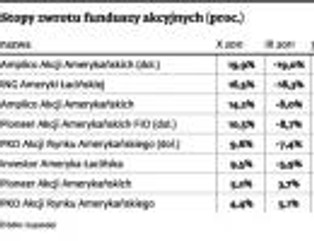 Amerykańskie spółki hitem inwestycyjnym