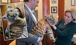Rosjanie wywieźli z zoo w Mariupolu młodego tygrysa i oddali go do cyrku. Kota spotkał tragiczny los